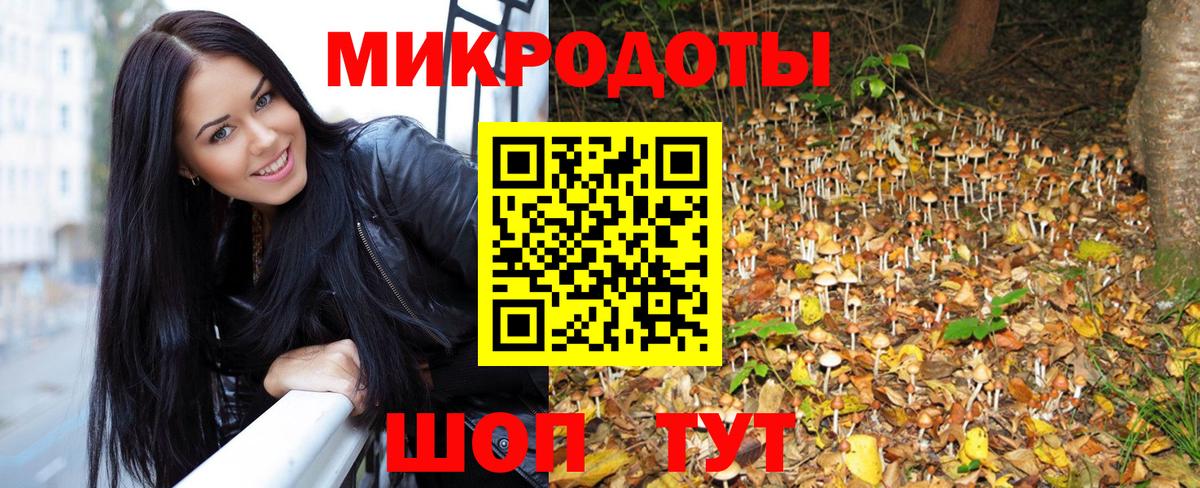 Мценск  Галлюциногенные грибы прущие грибы  Галлюциногенные грибы Psilocybine cubensis  Вход с VPN 