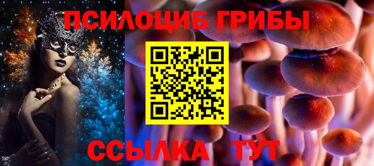 Галлюциногенные грибы Magic Shrooms Мценск